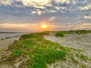 sand dunes by ocean with the sun setting