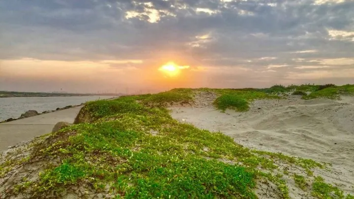 sand dunes by ocean with the sun setting