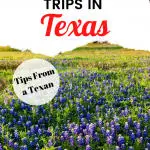 Texas road trips Pin Image