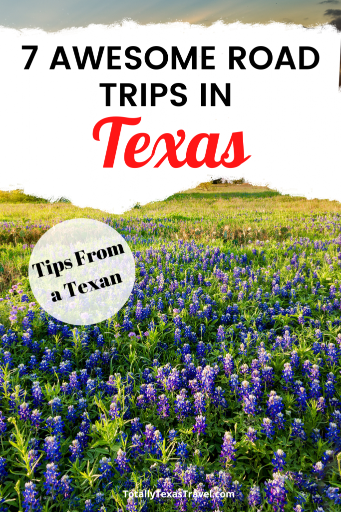 Texas road trips Pin Image