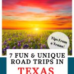 road trips in Texas pin