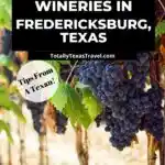 Fredericksburg Wineries Pinterest image