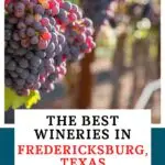Fredericksburg Wineries Pinterest image