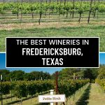 best wineries in Fredericksburg Pinterest Image