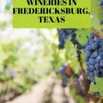 Best Wineries in Fredericksburg Pinterest Image