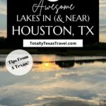 lakes in Houston pin image