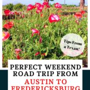 Austin to Fredericksburg Pinterest Pin