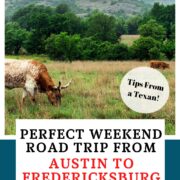Austin to Fredericksburg Pin Image