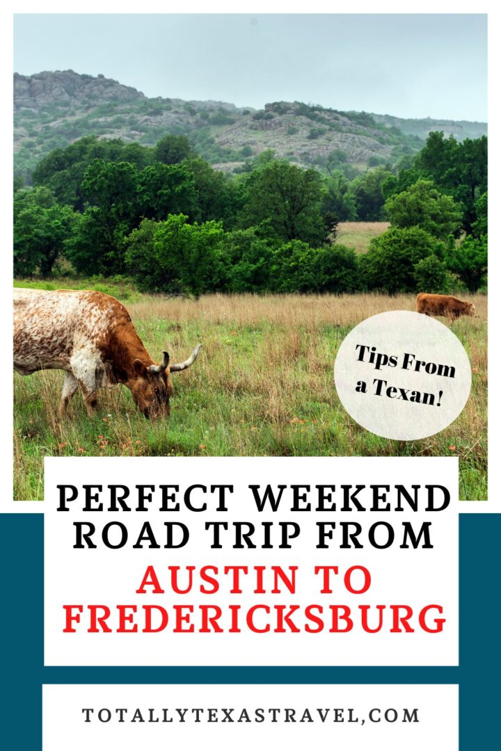 Austin to Fredericksburg Pin Image