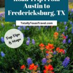 Austin to Fredericksburg Pin Image