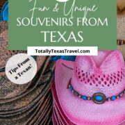 Texas Souvenirs Pin Image