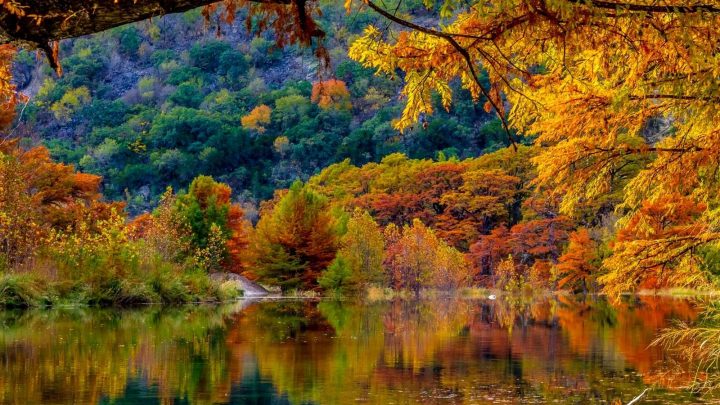 water reflecting fall trees