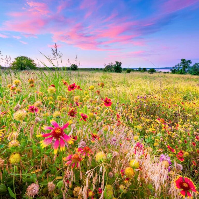 Austin to Fredericksburg: The Perfect Weekend Road Trip