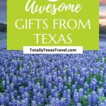 souvenirs from Texas Pinterest Pin