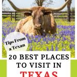 Places to visit in Texas Pinterest Pin
