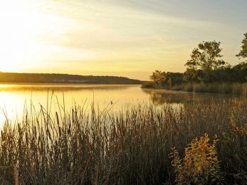 14 Great State Parks Near Dallas - Totally Texas Travel