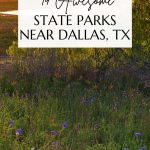 Dallas state parks pin image