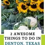 things to do in Denton, TX Pin Image