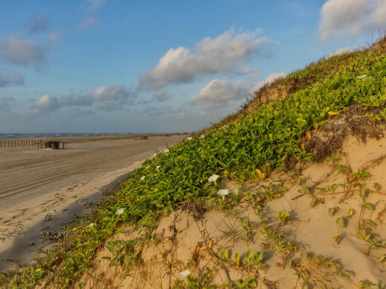 24 Awesome Things To Do In Port Aransas Totally Texas Travel