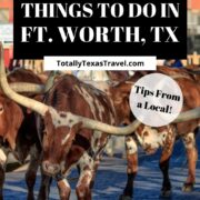 things to do in Fort Worth, Texas Pin Image