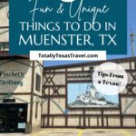 things to do in Muenster pin image