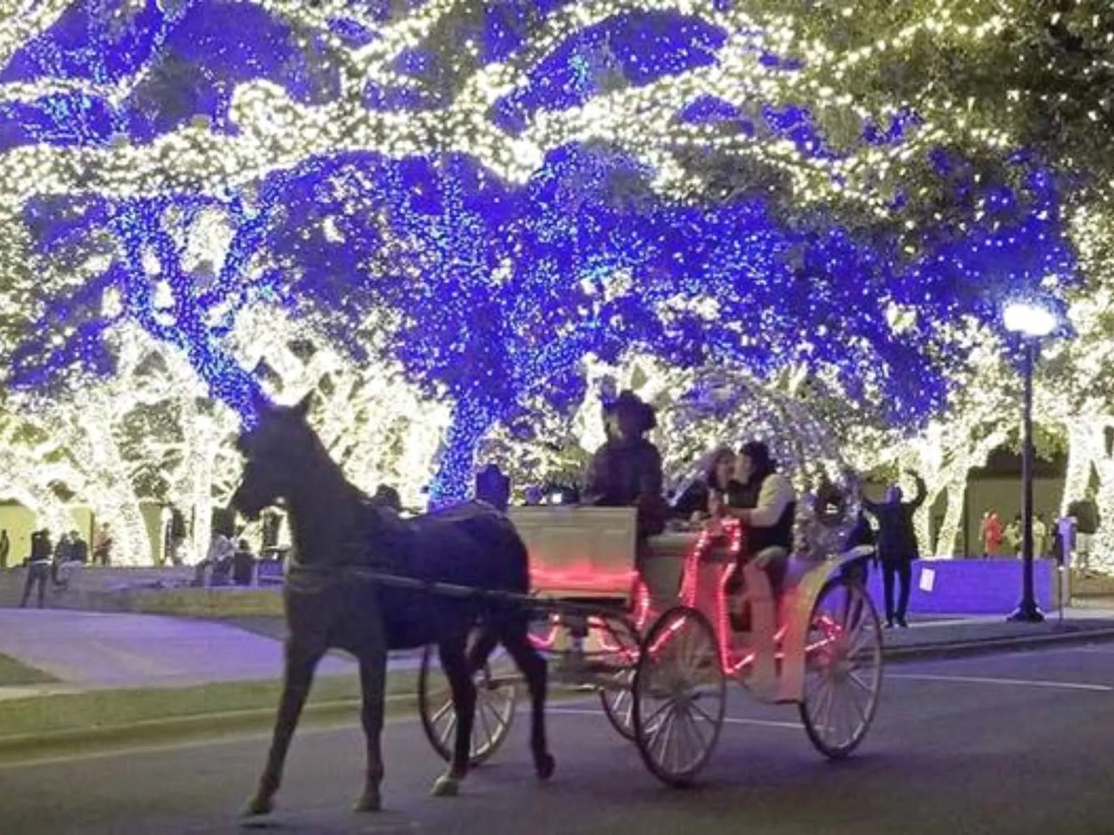 horse drawn carriage ride