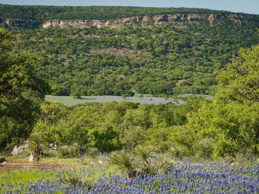 fredericksburg texas places to visit