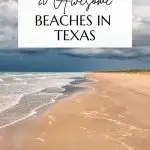 Texas Beaches Pin Image
