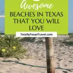 Beaches Texas Pin Image