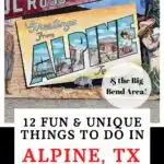 Alpine Texas Pin Image