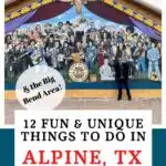 Alpine Texas Pin Image