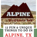 Alpine Texas Pin Image