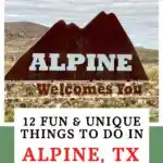 Alpine Texas Pin Image