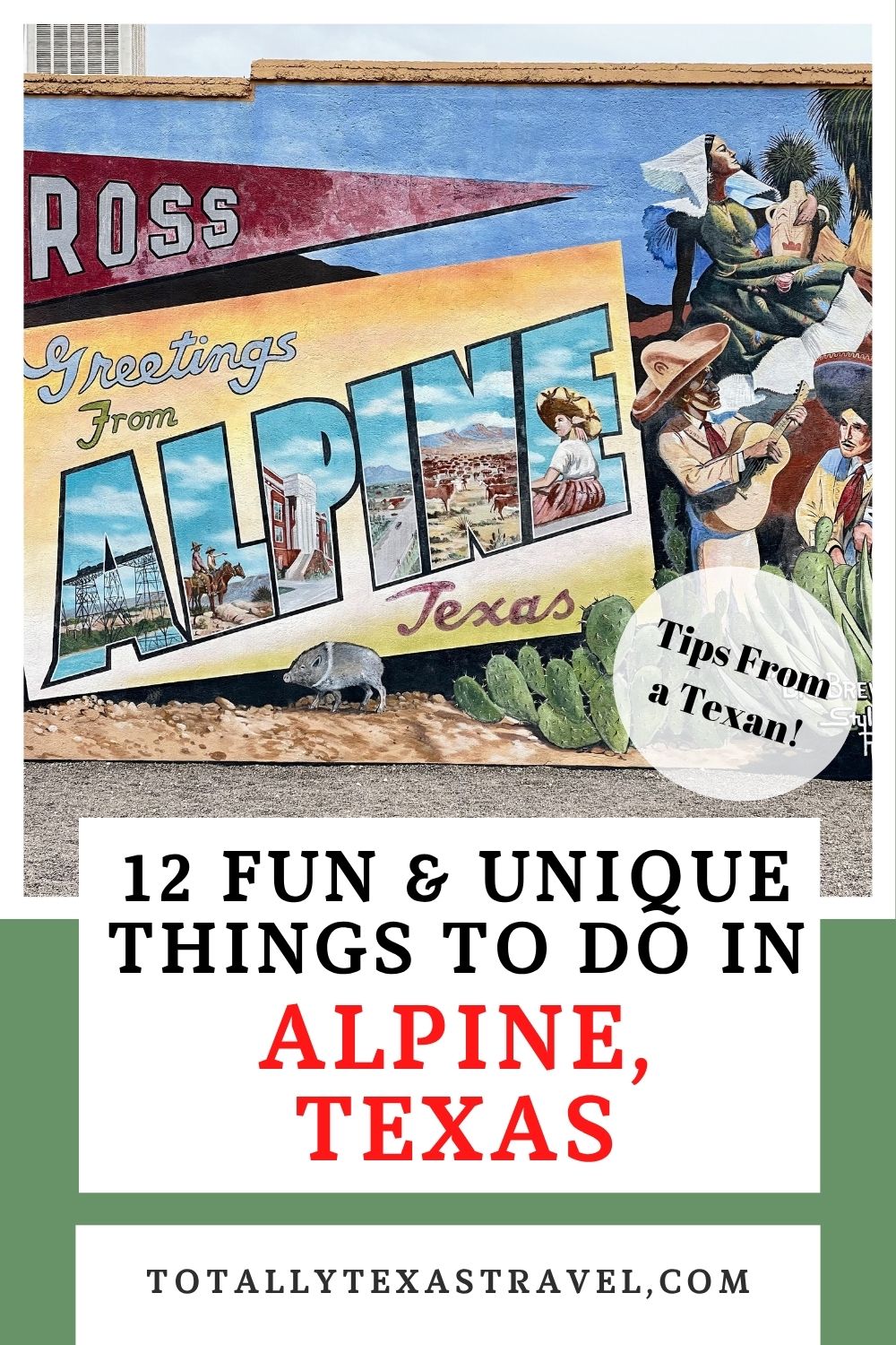 Alpine Texas Pin Image