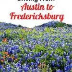 Austin to Fredericksburg Pinterest Pin
