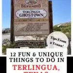 Terlingua Texas Pin Image