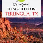 Terlingua Texas Pin Image