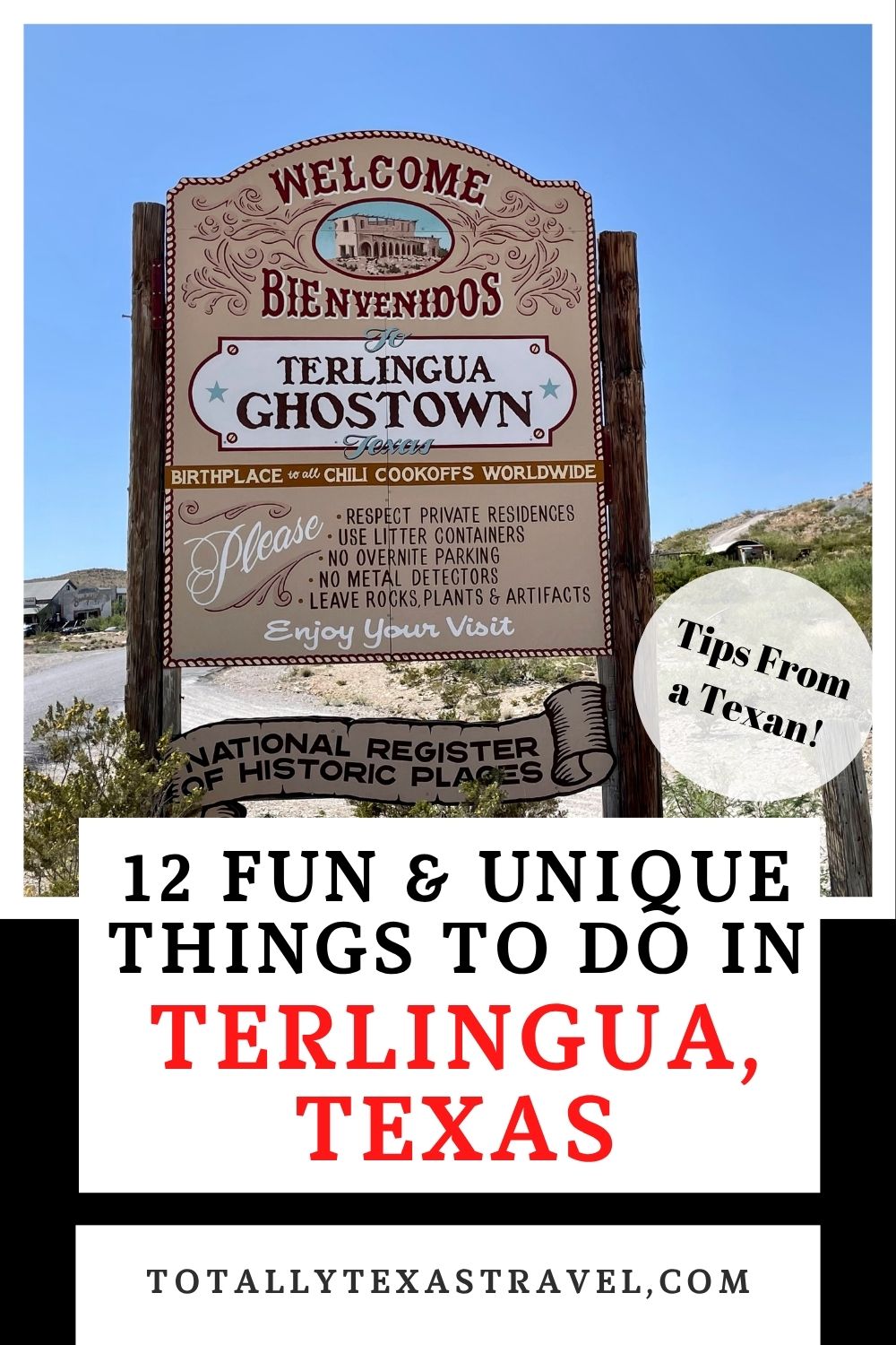 Terlingua Texas Pin Image