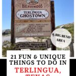 Terlingua Texas Pin Image