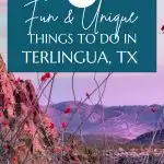 things to do in Terlingua Texas Pin Image