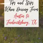 Austin to Fredericksburg Image