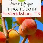 things to do in Fredericksburg, TX Pinterest Pin
