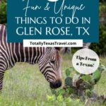 Glen Rose, TX things to do Pin Image
