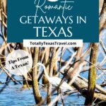Texas romantic getaways Pin Image