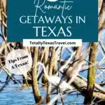 Texas romantic getaways Pin Image