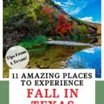 Fall in Texas Pin Image