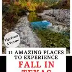 Places to experience fall in Texas Pin image