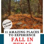 Places to experience fall in Texas Pin image
