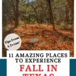 Places to experience fall in Texas Pin image