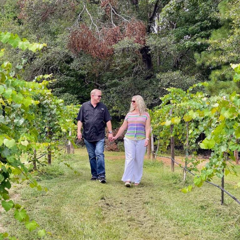 8 Wineries in East Texas You Must Visit